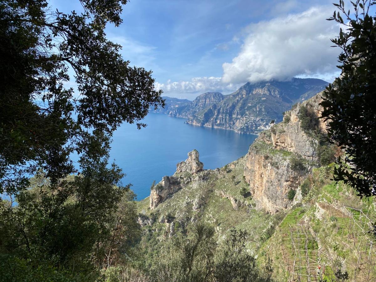 Il Profumo Dei Fiori Daire Băile Herculane Dış mekan fotoğraf