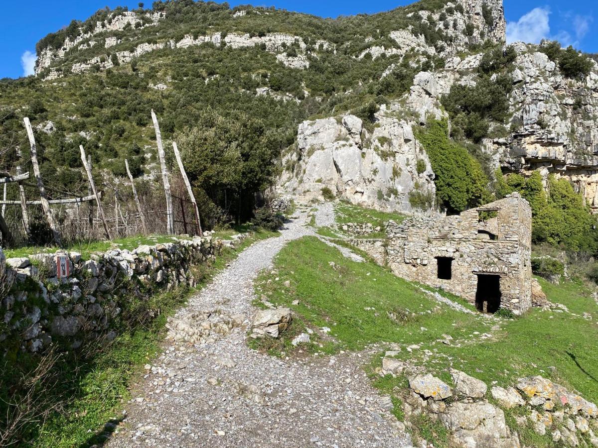 Il Profumo Dei Fiori Daire Băile Herculane Dış mekan fotoğraf