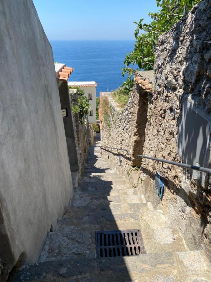 Il Profumo Dei Fiori Daire Băile Herculane Dış mekan fotoğraf